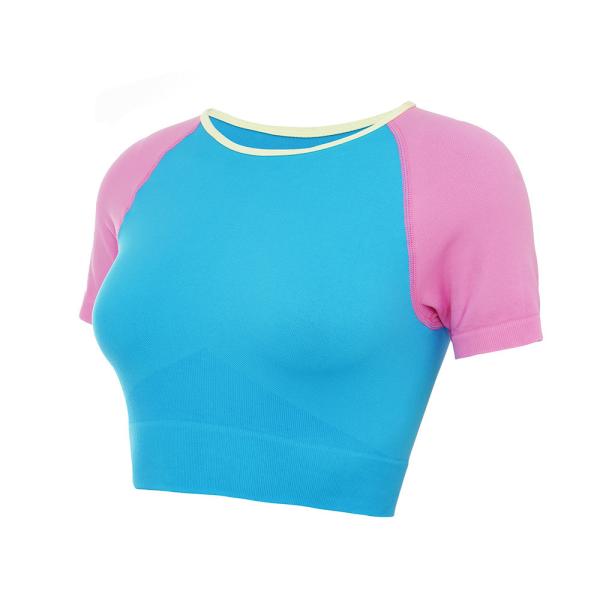 Quality Oem Factory Manufacturer Custom Logo Short Sleeve OEM T Shirts Fast Dry Womens Yoga T Shirts for sale