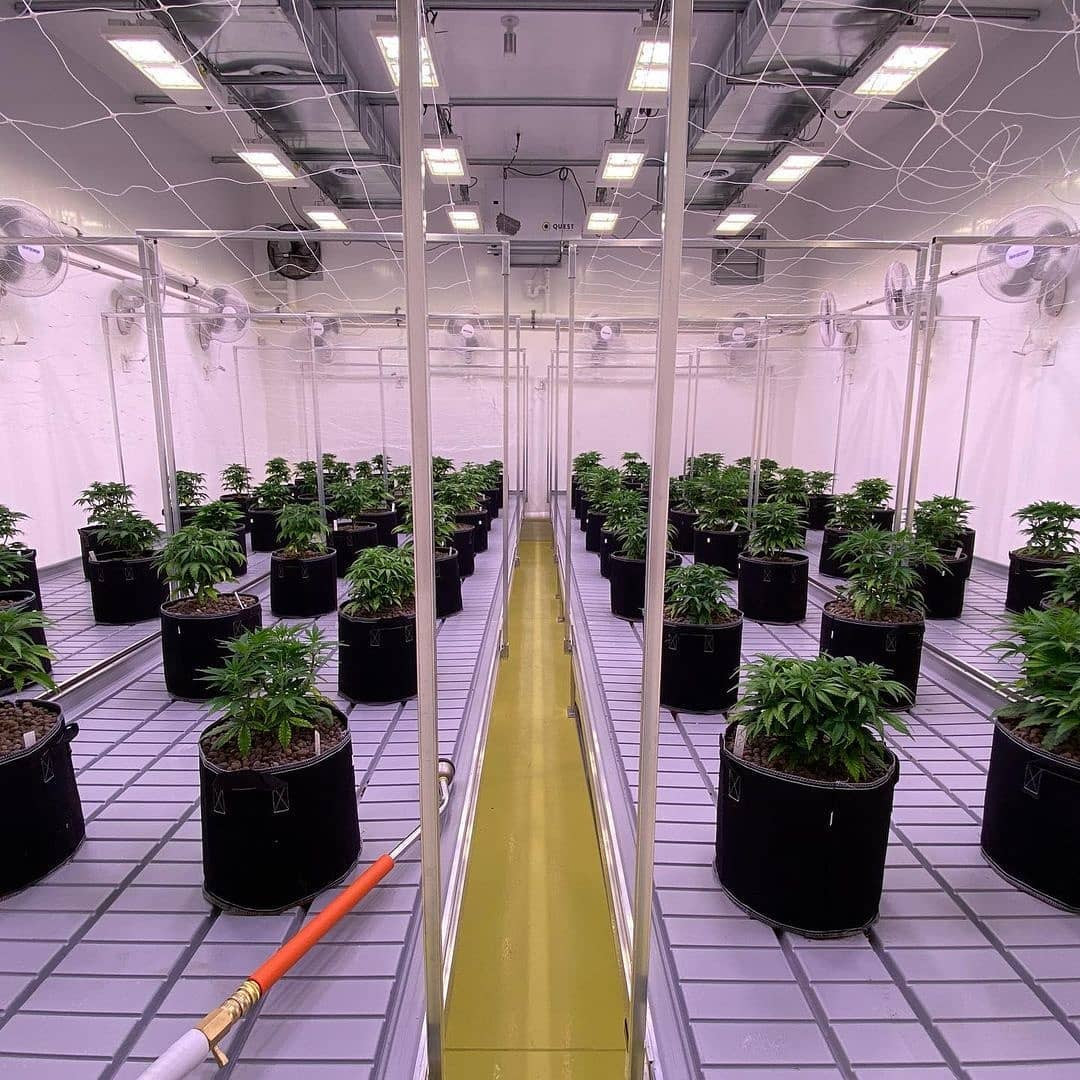 Greenhouse 340W LED Grow Lights 15.7 X 13.2 X 3.3 Inches 120 Degree Beam Angle
