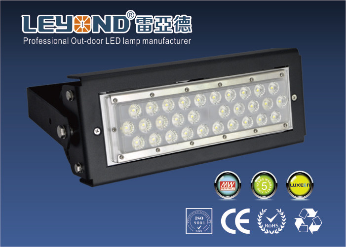 Netural White 4000K High Power LED Flood Light 50W Brideglux Chip Meanwell Driver IP65