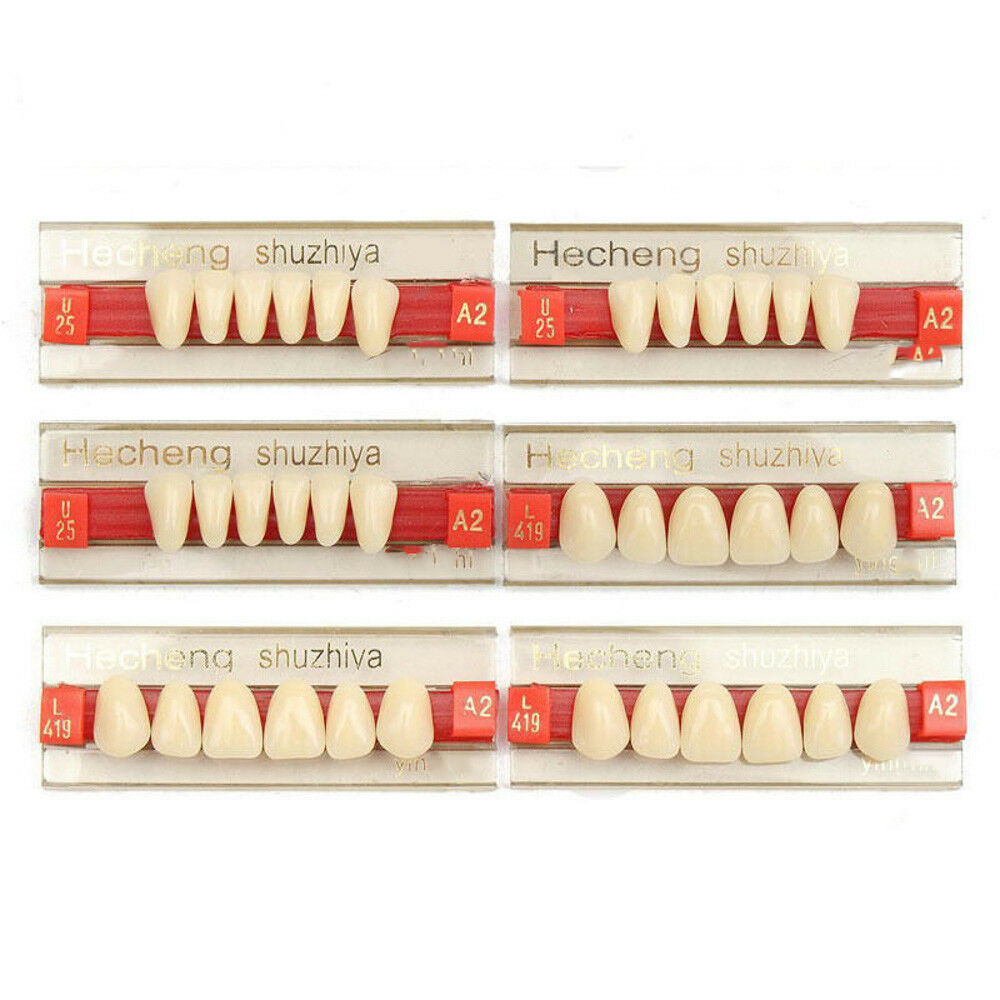 Dental Materials Multi Layer Synthetic Dental Resin Dentures Teeth FDA