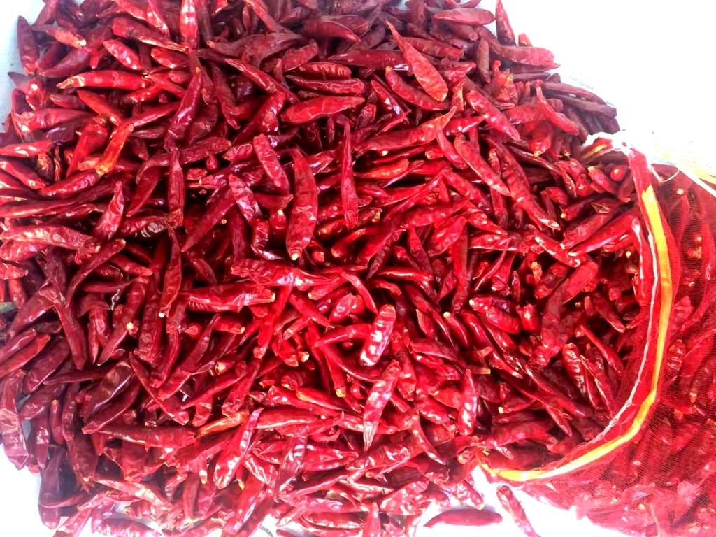 Chinese Dried Red Chili Peppers Chaotian Szechuan Dried Chili Zero Additive