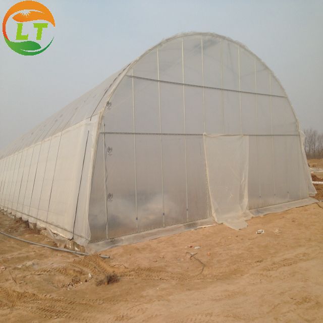 Film Cover Single-Span Agricultural Greenhouses for Agricultural Cultivation