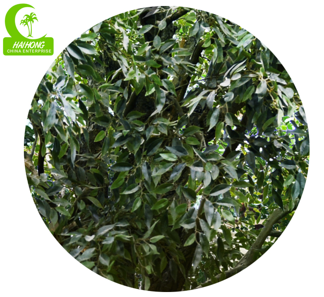 large artificial trees for outside and inside