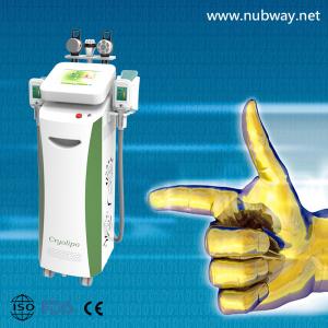China Vertical amazing result best cryolipolysis fat loss slimming machine to losing weight on sale