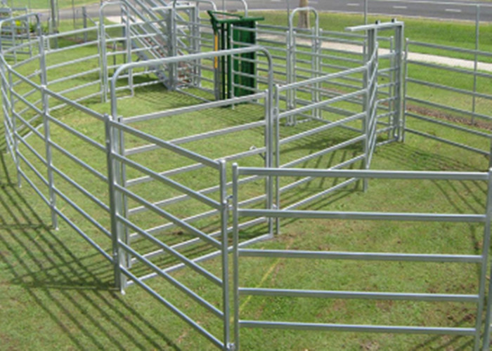 Oval Rail Hot Dip Galvanized Sheep Yard Panels 40*80mm 1.3m Tall Goat Panel 6 Bar Cattle Yard