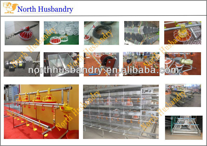 2012 high quality poultry house equipment for sale