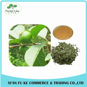 Health Care Product Reduce Fatigue Guava Leaf Extract with Polyphenols