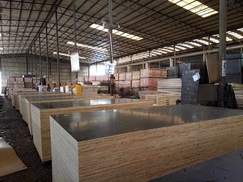 20mm Film Faced Plywood
