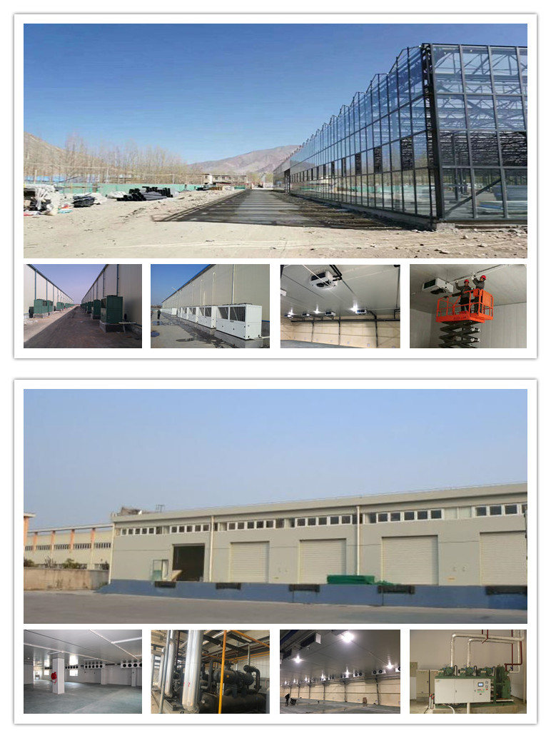 DD/DL/DJ Cold Room Refrigeration Equipment Evaporator Fin Spacing 4.5mm 6mm 9mm