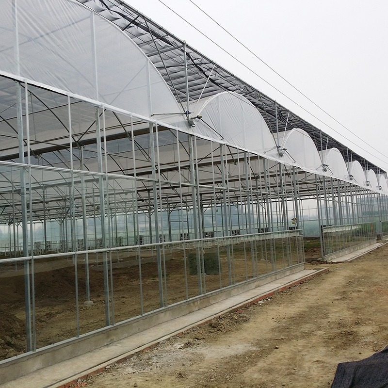 Durable Poly Tunnel Agricultural Multi-span Plastic Film Greenhouse For Vegetables