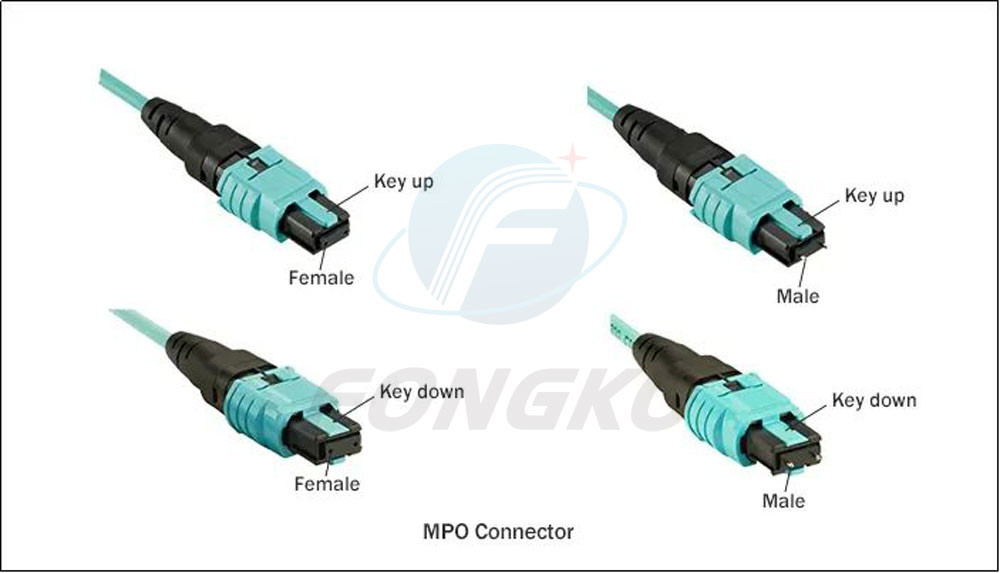 Professional Factory 12 cores Fiber Optic Patchcord OM3 male MPO Fiber Optic Patch cord