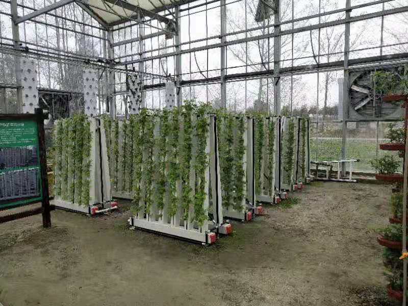 Indoor Hydroponic Growing Systems Home Zip Vertical Hydroponic System