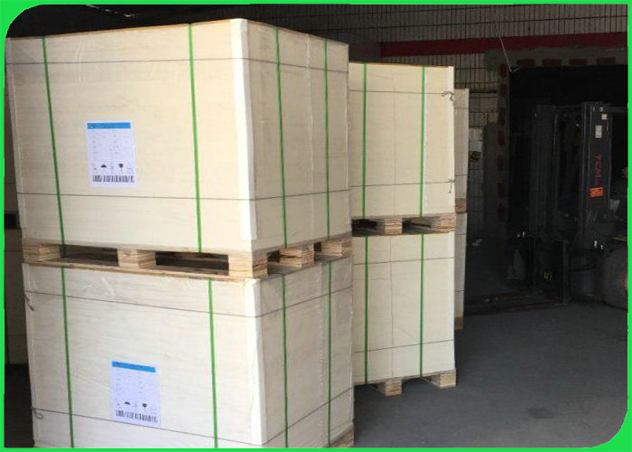 FSC Certified 250gsm 300gsm Coated White Top kraft board For Packing Boxes