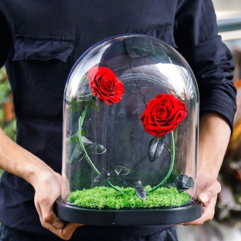 Real Preserved Forever Rose, Eternal Rose, Galaxy Rose, Preserved Flowers Flower Crafts Preserved roses
