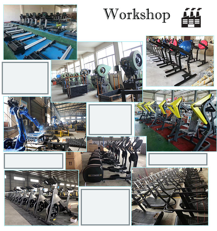 China gym fitness exercise equipment seated leg extension stretching machine
