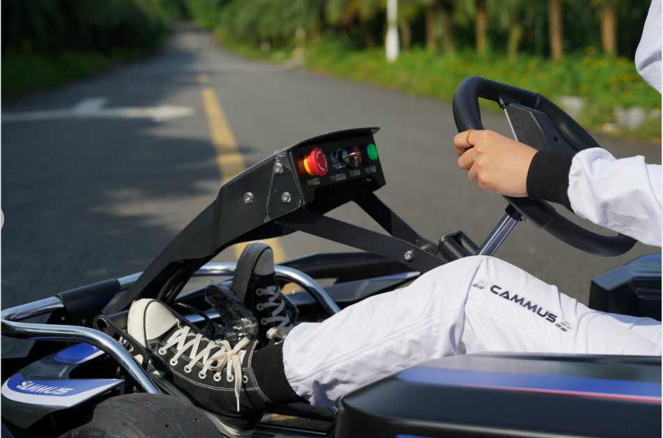 Single Motor Indoor Junior Go Kart 500km/H App Adjustment Control