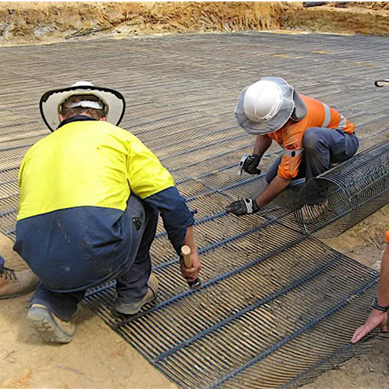 Factory Price High Strength HDPE Uniaxial Geogrid for Retaing Wall Reinforcement