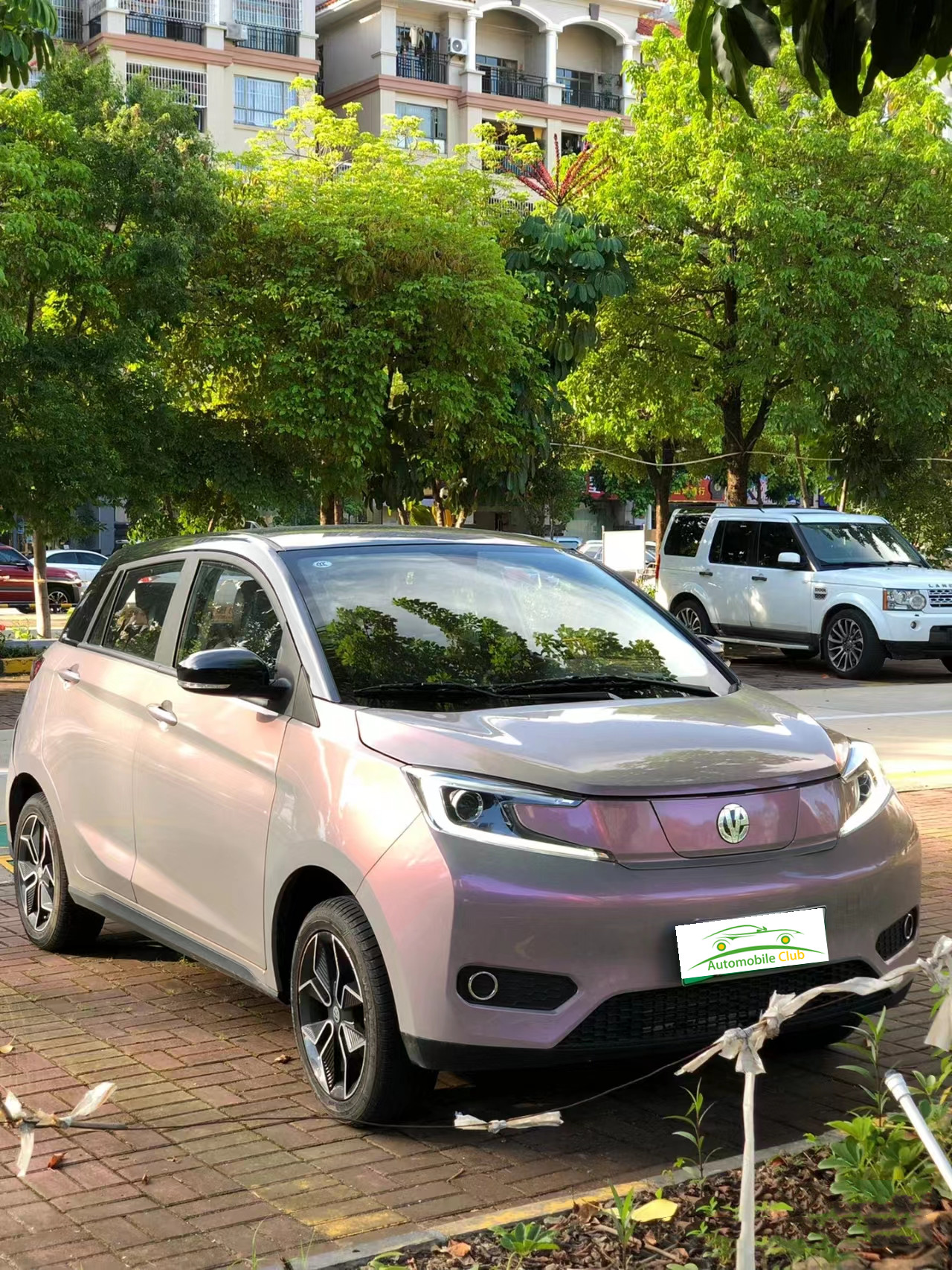 2023 Model Pure Electric Car YOUNG 302km Range 0.5h Fast Charge 4 Seats Full Load Weight 1080KG Maximum Power 35 100km/h