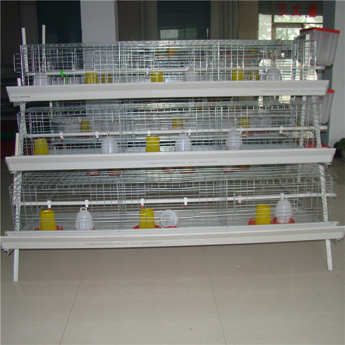 Durable A Type Baby Chick Cage Low Death Rate With Manual Feeding System