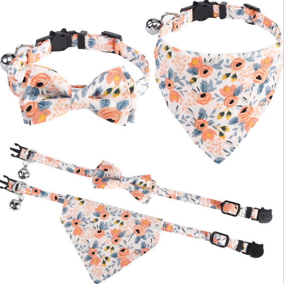 custom kitten collar