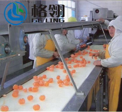 Energy Saving Fruit Juice Processing Line Complete Making Machine