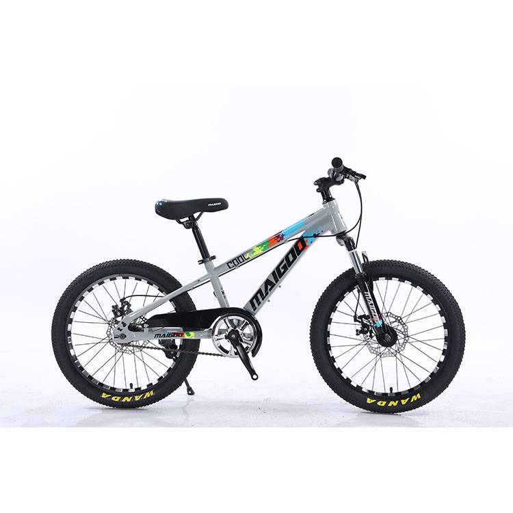 20" Children Bicycle Kids Bike Single Speed Bicicleta With Steel Suspension Fork