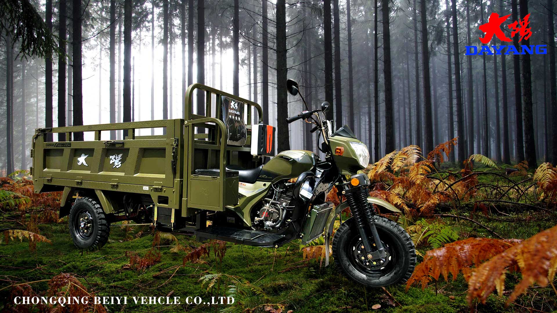 Affordable 250cc Motor Tricycle for Family in Egypt Agriculture Market Open Body Type