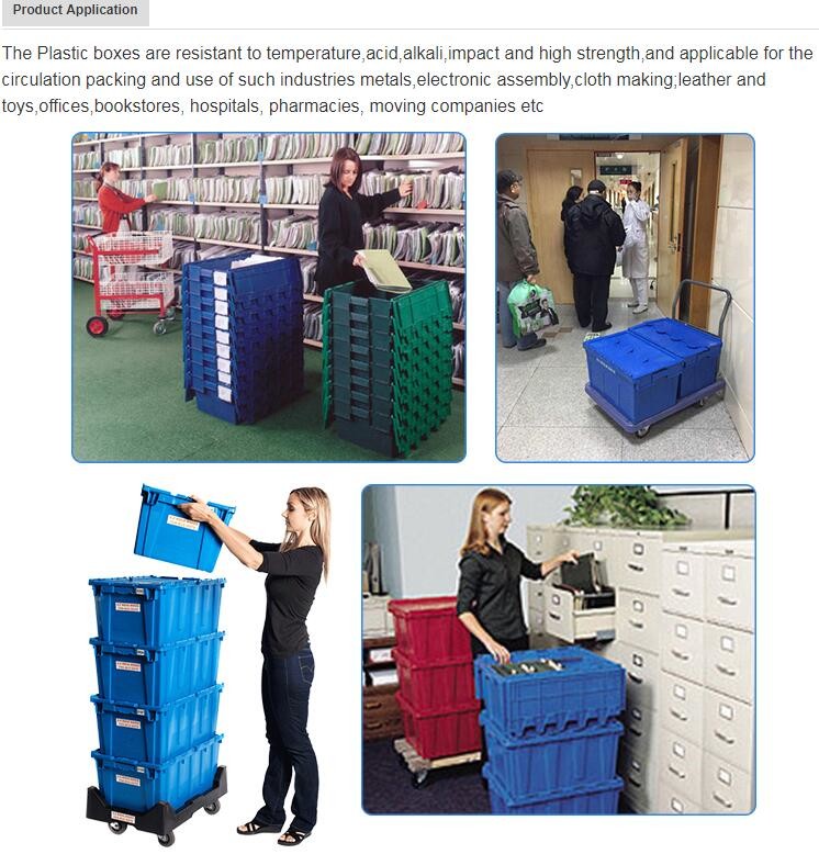 Cheap price 12 bottles plastic beer wine bottle crate, Vegetable and fruits plastic crate for store food, plastic crates