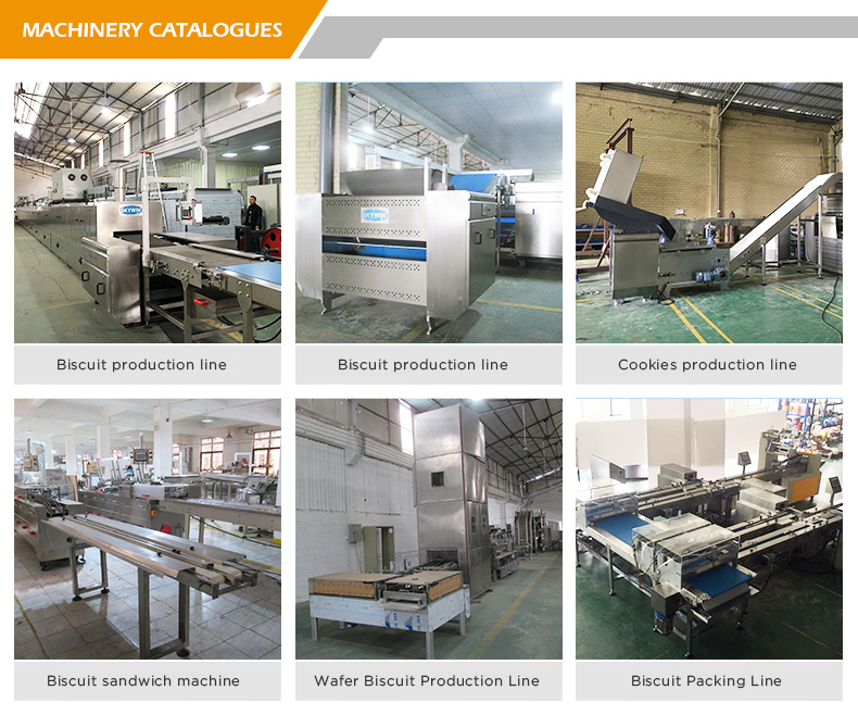 Servo Motor Controlled Cookie Making Machine / Cookies Forming Machine