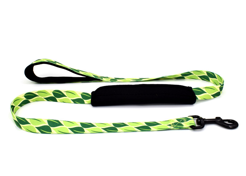 Green / Red Easy Close Nylon Dog Leash , Durable Small / Large Dog Leash