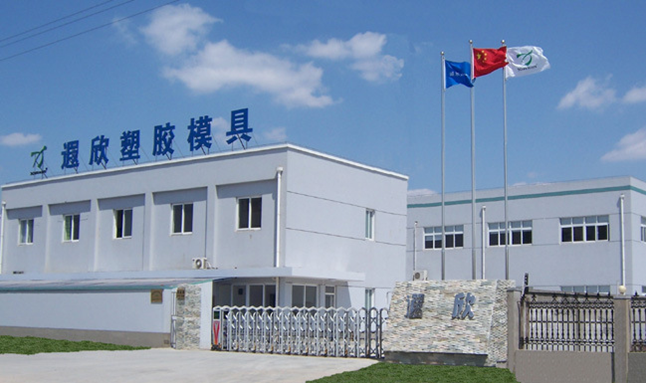 Cooler Box Electrical Plastic Molding
