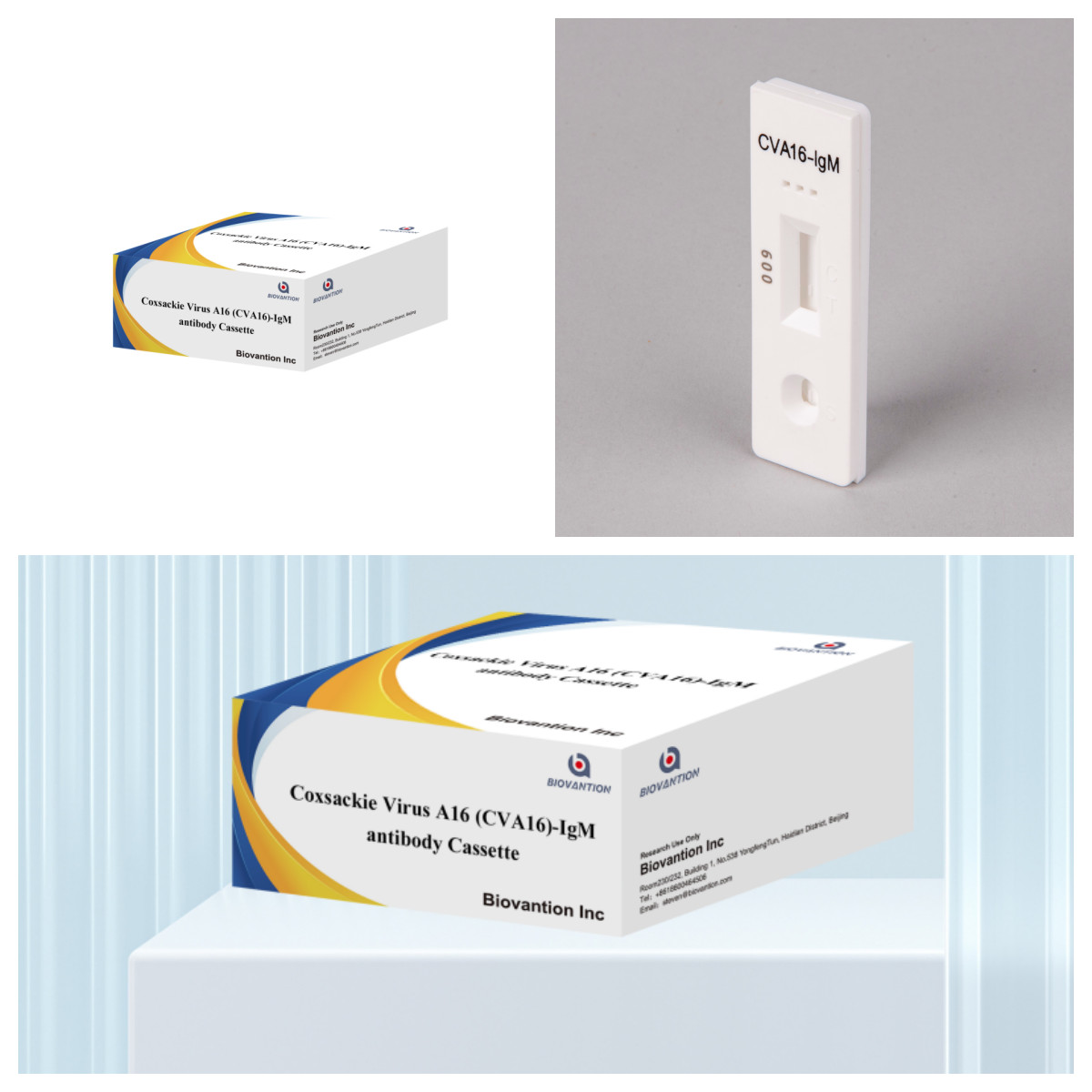 Coxsackie Virus A16 CVA16-IgM Antibody Cassette WB/S/P Colloidal Gold Rapid Test