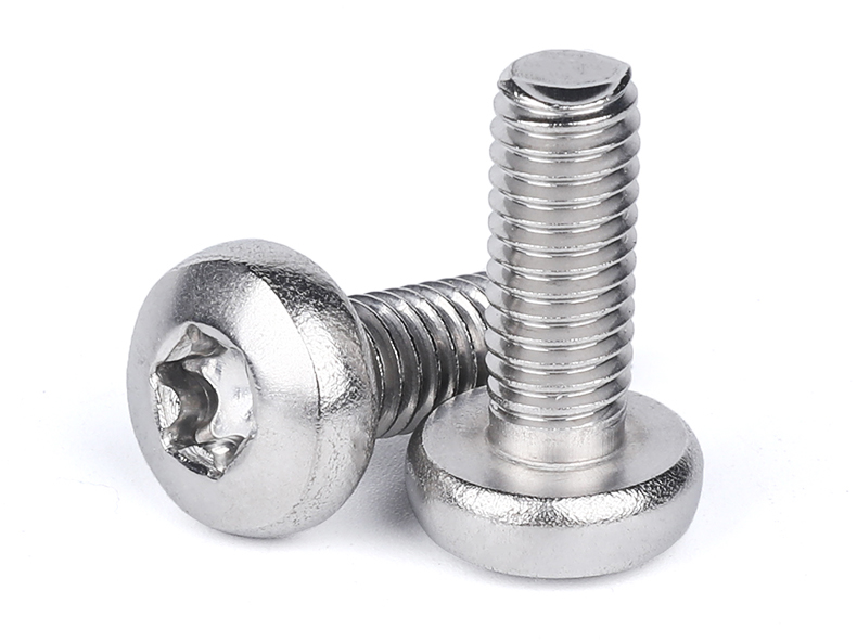 Stainless Steel M2 M3 M4 M5 M6 Hexalobular Socket Torx T6 T10 T20 T25 Raised Cheese Pan Head Micro Screws