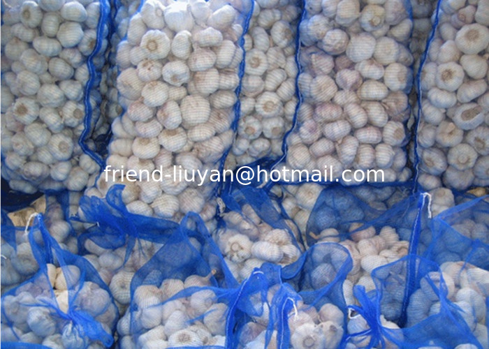 Vegetable Loading Net Fruit Collect Bag Packing Mesh Bag For Wood