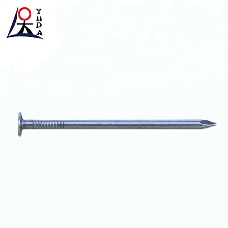 Round Head Smooth Common Wire Steel Iron Nail
