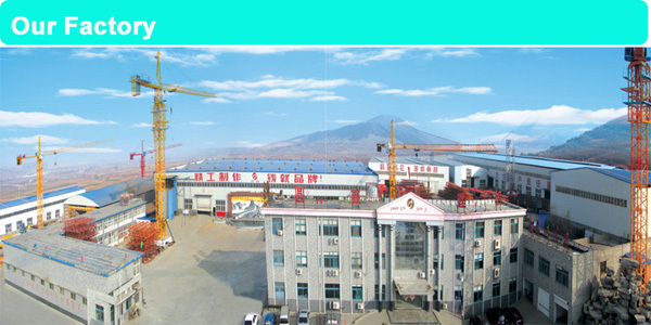 yuanxin company 600.jpg