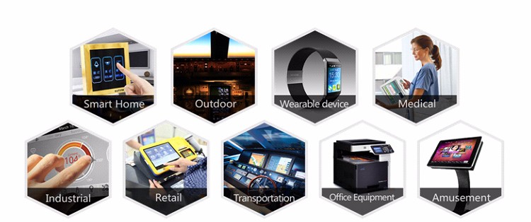 10.1 Inch Ips TFT Capacitive Touch Screen OEM ODM Available