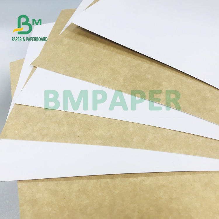 200gsm White Coated Kraft Paper For Packing Food Grade & Safe