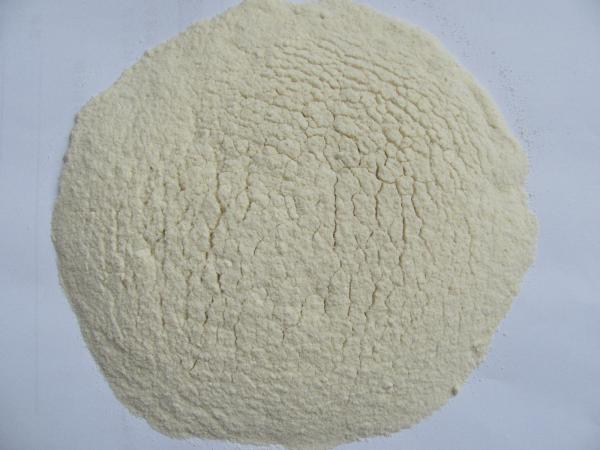 Quality wholesale Dehydrated/dried garlic powder exporter in china for sale