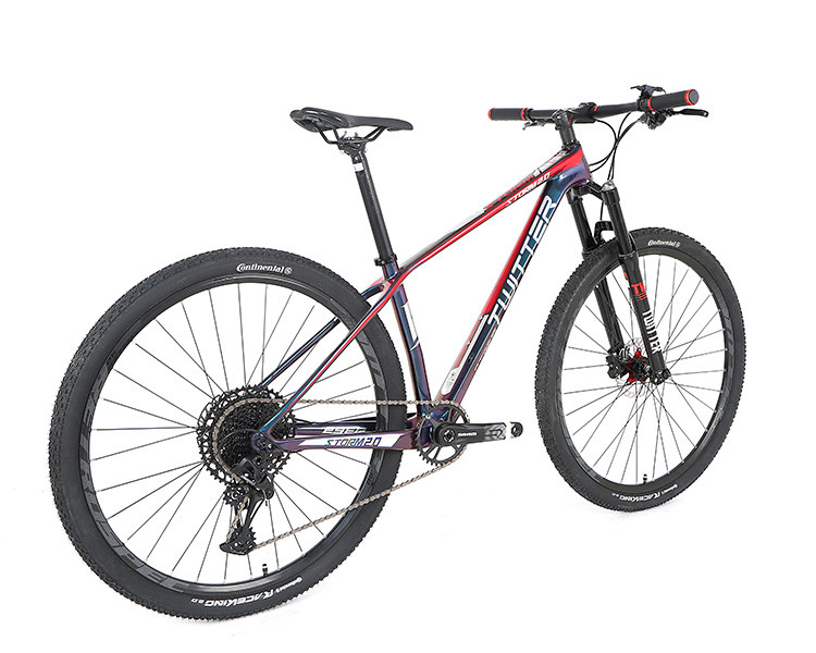 Carbon Mountain Bike 29er Holographic Color With Sram SX 12S Groupset For Adult