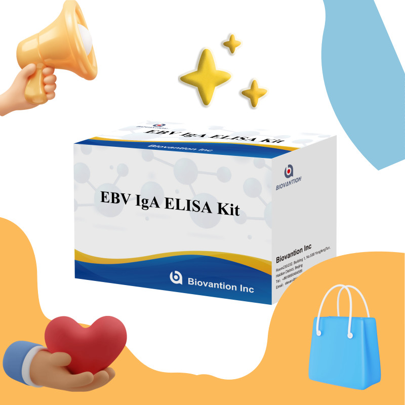 Professional Elisa Test Kit For Diagnostic Kit For IgA Antibody To EBV-Zta