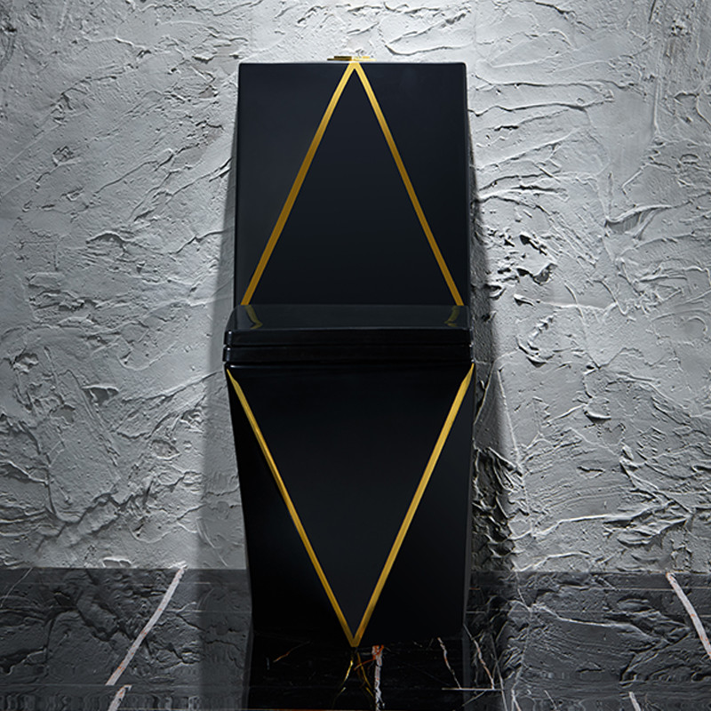 One Piece Washdown Sanitary Ware Toilet Black Gold Graphic Design