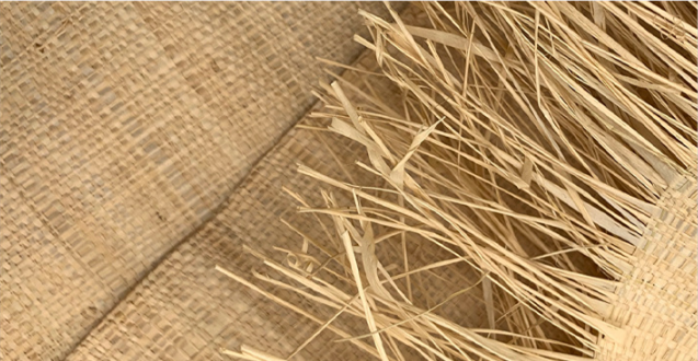 Raffia mats natural raffia grass hand woven green rafi prairie