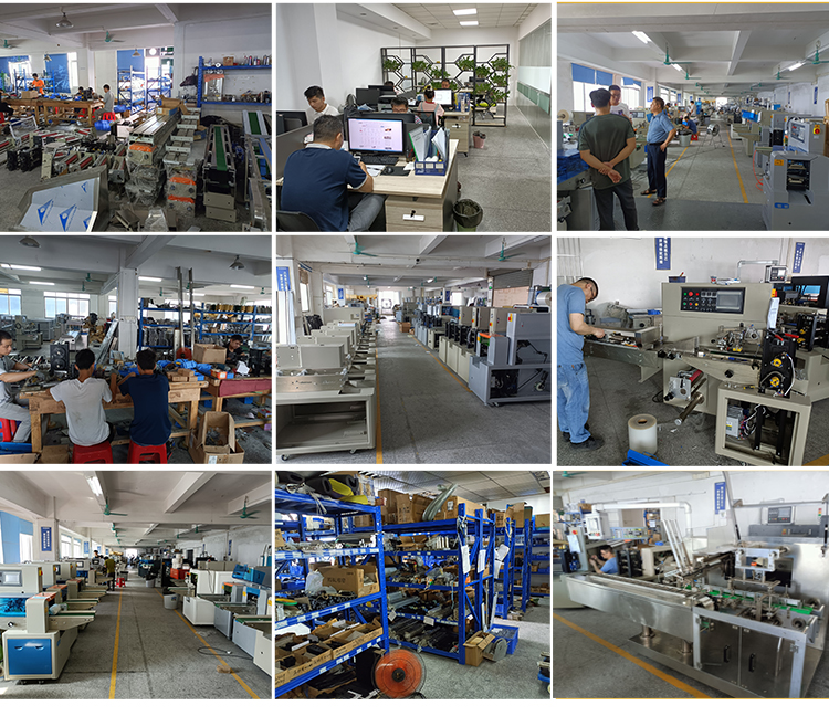 CE Granule Packing Machines 50g Cooked Rice Packing Machine