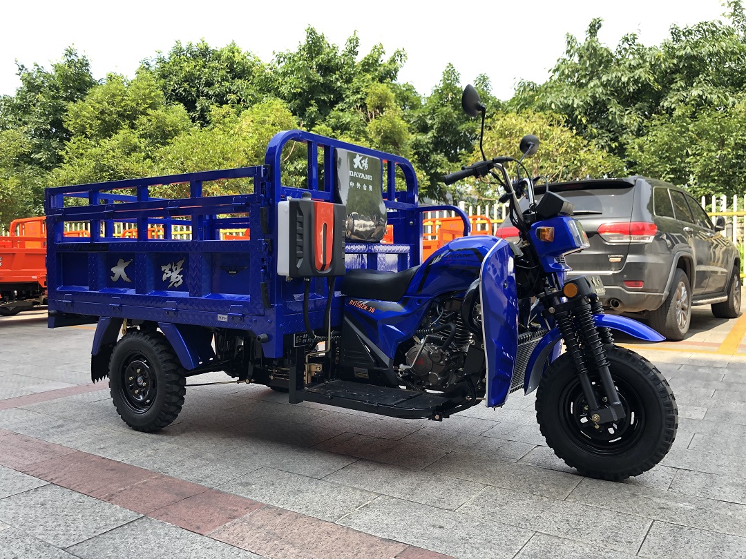 175cc/200cc/250cc Heavy Loading Truck Cargo Tricycle for Global Market Requirements
