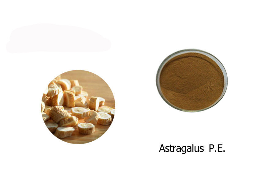 100% Astragalus Extract Powder