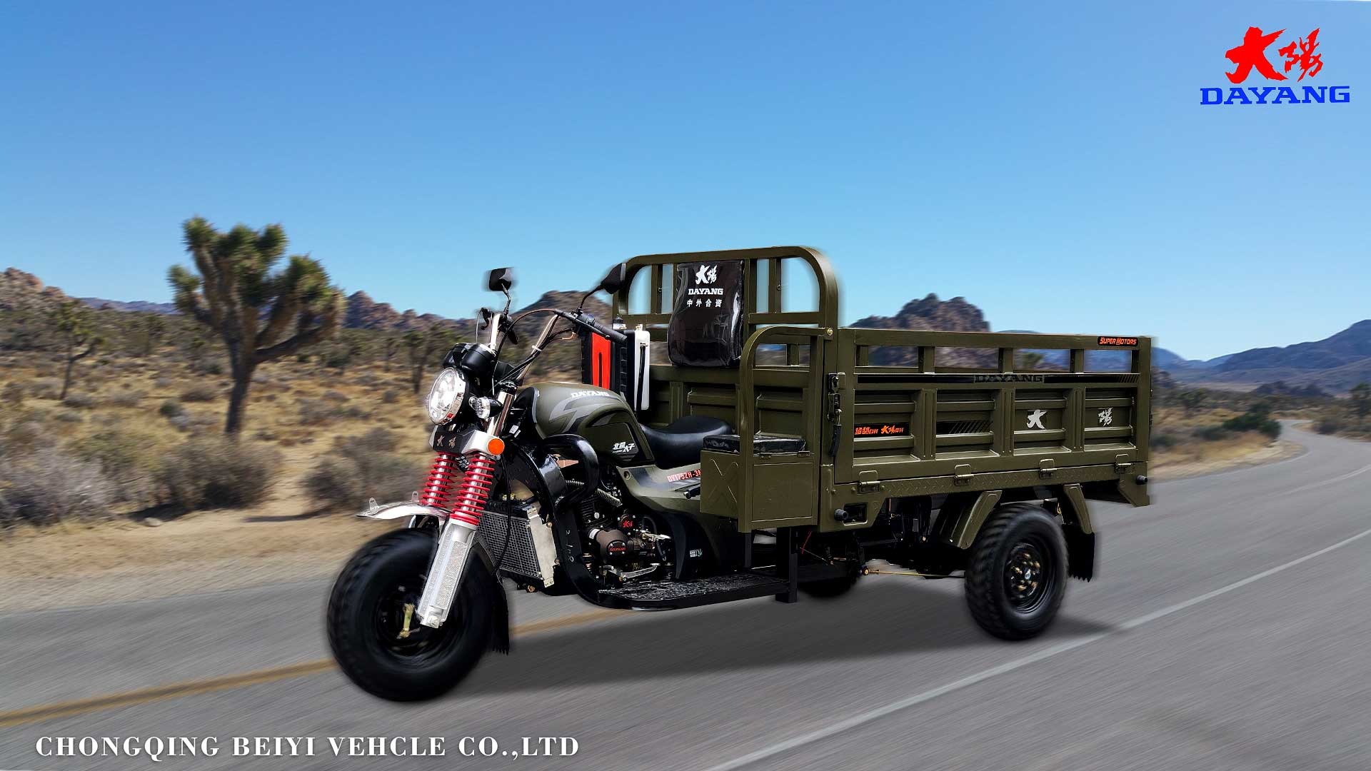 DAYANG Motorized Tricycle Cargo Tricycle Three Wheel Motorcycle with 12V Battery System