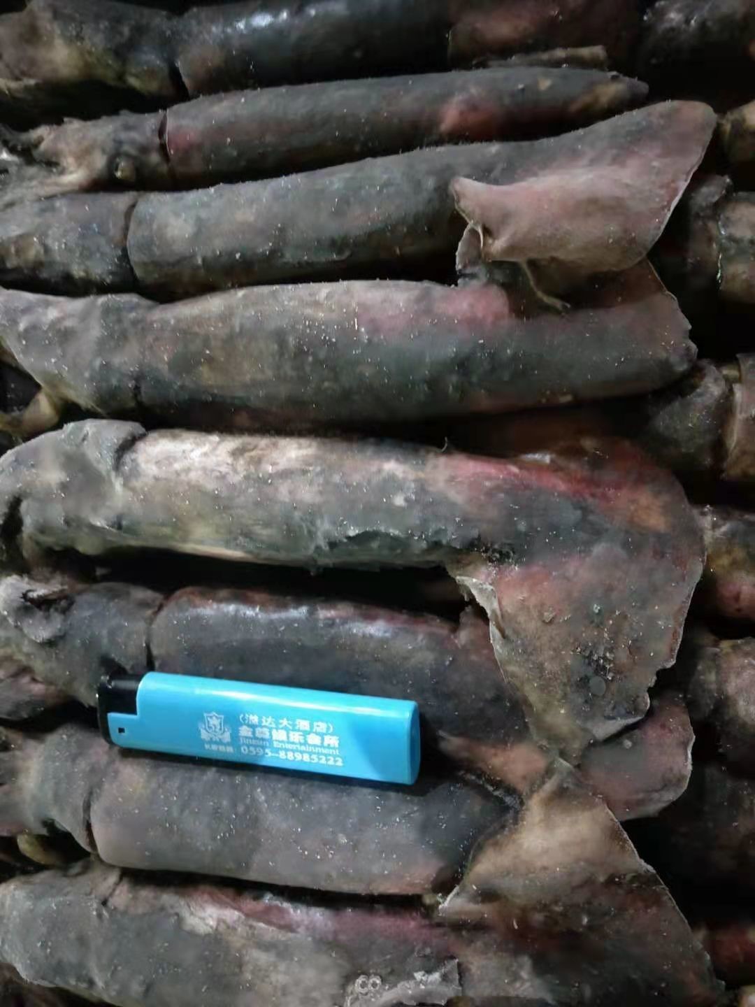 ISO2200 / HACCP 80 - 150g BQF Frozen Black Squid