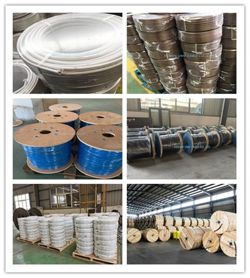Cross Link Polyethylene Insulation Poly Vinyl Chloride Stranded Copper Conductor Concentric Cable