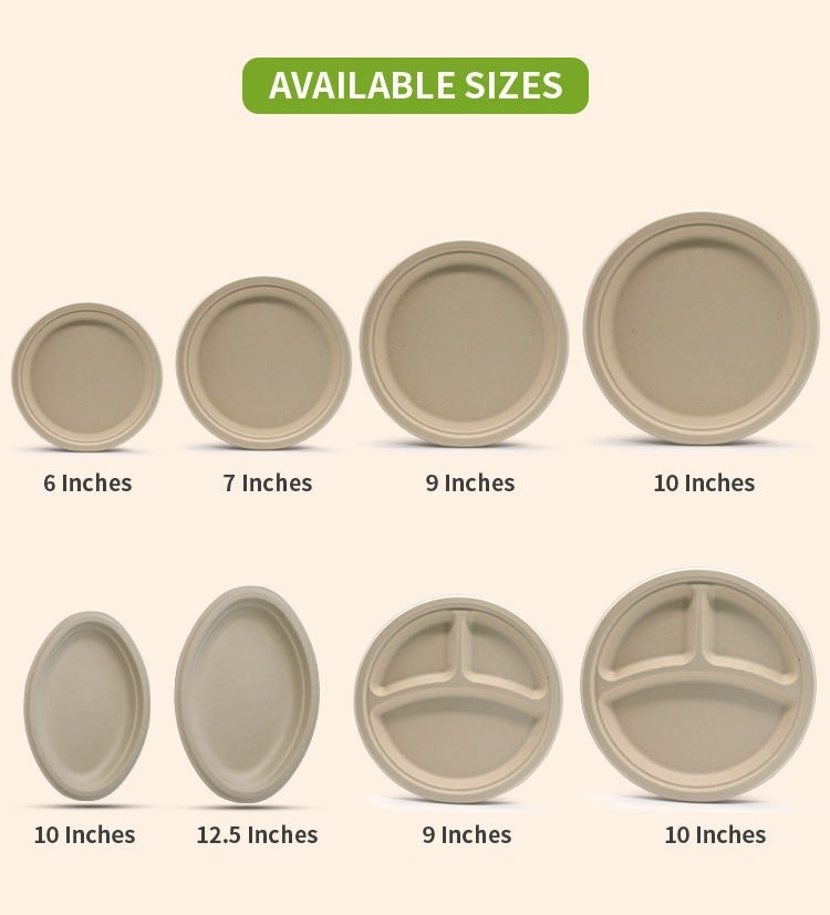 9 Inch Round Pulp Plate Biodegradable Sugarcane Disposable Food Plate